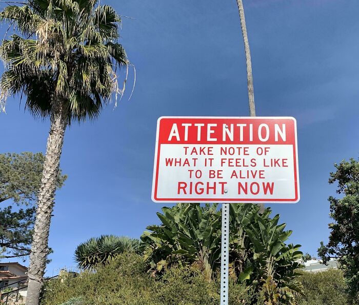 &ldquo;There Are Bees&rdquo;: 65 Signs That Are As Confusing As They Are Funny (New Pics)