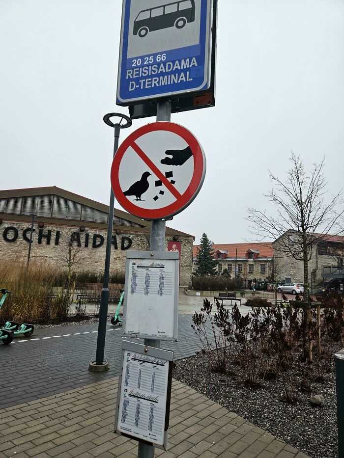 &ldquo;There Are Bees&rdquo;: 65 Signs That Are As Confusing As They Are Funny (New Pics)