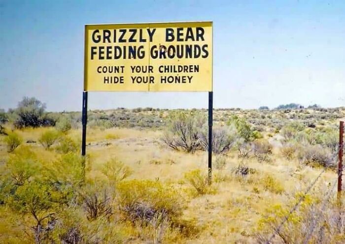 &ldquo;There Are Bees&rdquo;: 65 Signs That Are As Confusing As They Are Funny (New Pics)