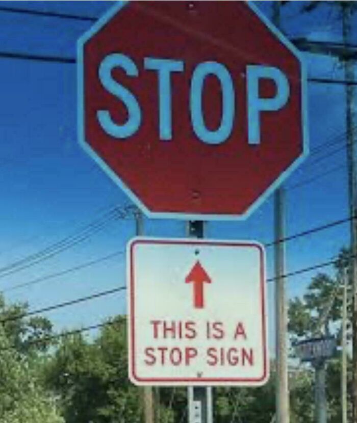 &ldquo;There Are Bees&rdquo;: 65 Signs That Are As Confusing As They Are Funny (New Pics)