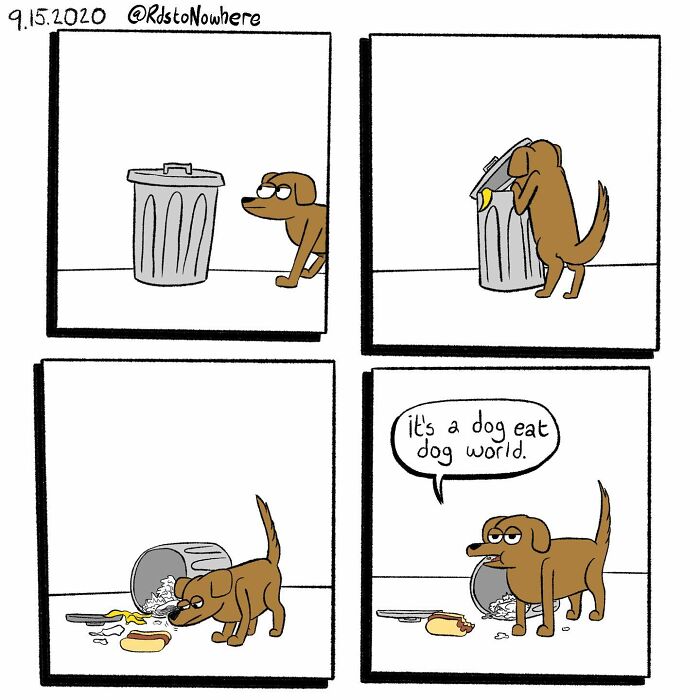 The Best Of Ryan Rds: 70 Top-Upvoted Comics Loved By Our Community The Best Of Ryan Rds: 70 Top-Upvoted Comics Loved By Our Community