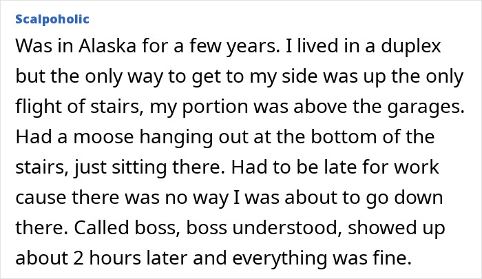 48 Unhinged Ways To Get Out Of Work That Sound Better Than &ldquo;I&rsquo;m Going To The Doctor&rdquo;