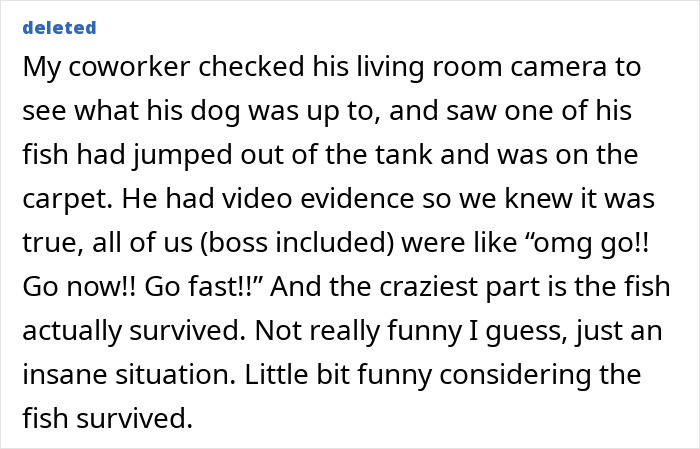 48 Unhinged Ways To Get Out Of Work That Sound Better Than &ldquo;I&rsquo;m Going To The Doctor&rdquo;