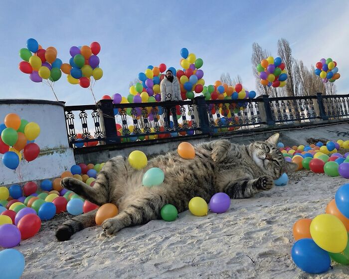 This Artist Reimagines A World Inhabited By Giant Cats (26 New Pics)