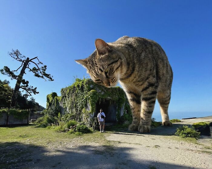 This Artist Reimagines A World Inhabited By Giant Cats (26 New Pics)