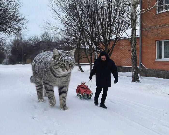 This Artist Reimagines A World Inhabited By Giant Cats (26 New Pics)