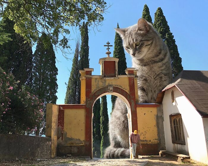 This Artist Reimagines A World Inhabited By Giant Cats (26 New Pics)