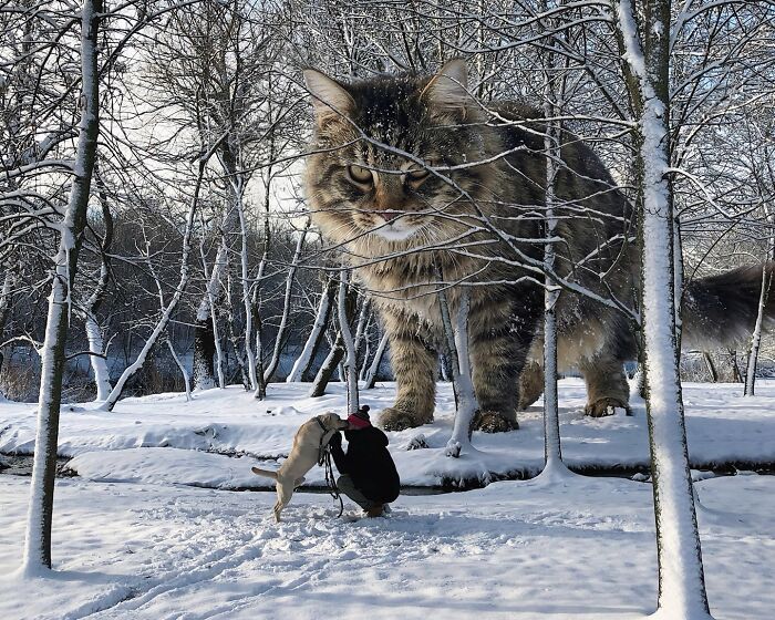 This Artist Reimagines A World Inhabited By Giant Cats (26 New Pics)