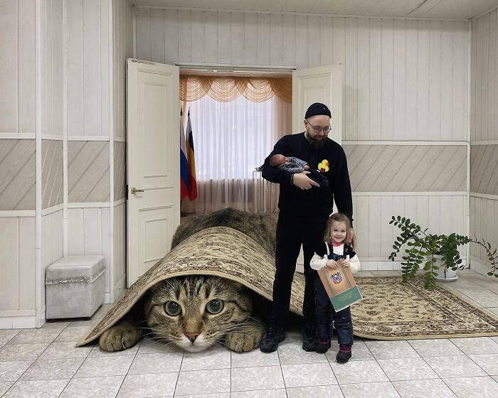 This Artist Reimagines A World Inhabited By Giant Cats (26 New Pics)