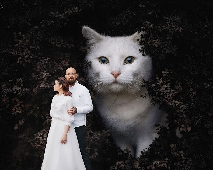 This Artist Reimagines A World Inhabited By Giant Cats (26 New Pics)