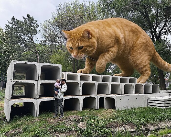 This Artist Reimagines A World Inhabited By Giant Cats (26 New Pics)