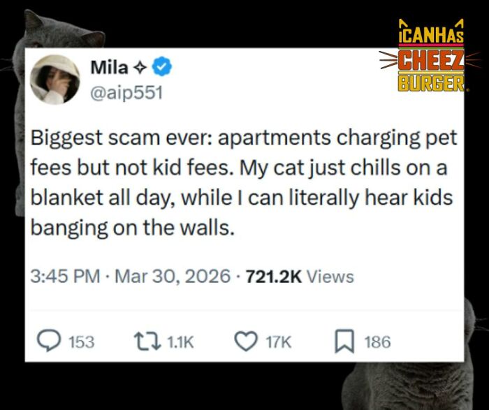 This Page Shared 52 Funny And Wholesome Cat Posts That Might Perfectly Describe Owning A Cat