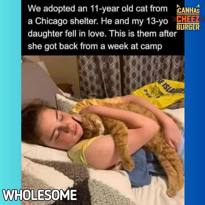 This Page Shared 52 Funny And Wholesome Cat Posts That Might Perfectly Describe Owning A Cat