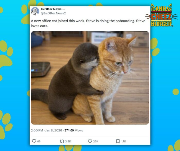 This Page Shared 52 Funny And Wholesome Cat Posts That Might Perfectly Describe Owning A Cat