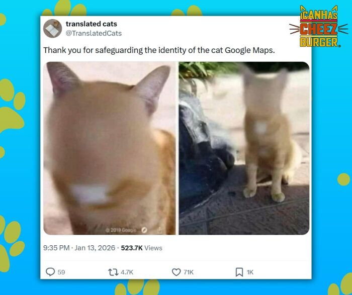 This Page Shared 52 Funny And Wholesome Cat Posts That Might Perfectly Describe Owning A Cat