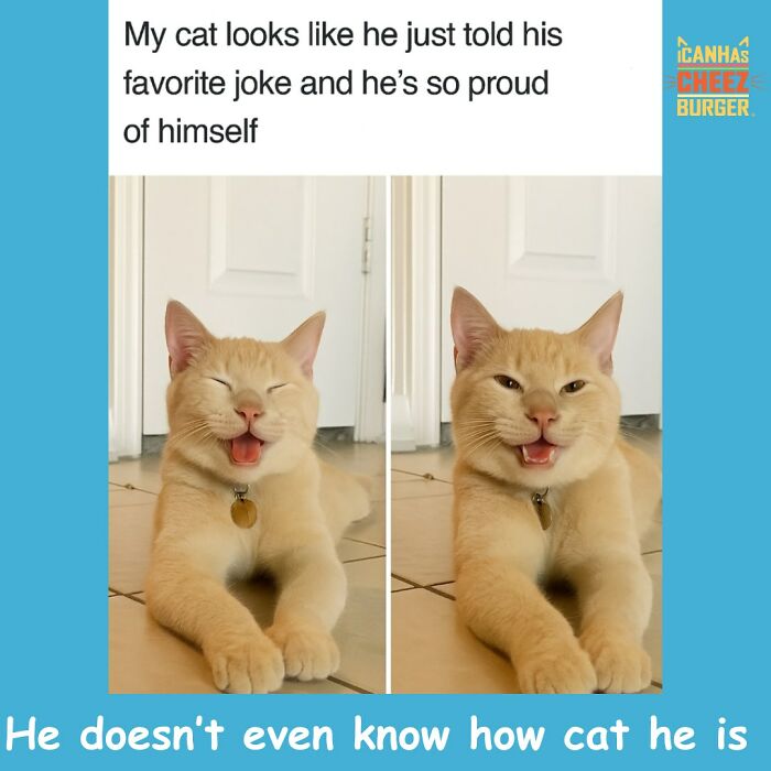 This Page Shared 52 Funny And Wholesome Cat Posts That Might Perfectly Describe Owning A Cat