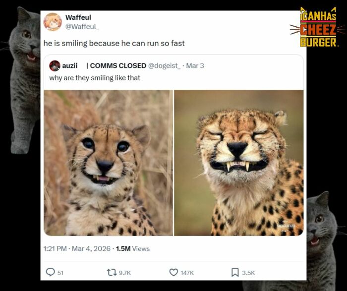 This Page Shared 52 Funny And Wholesome Cat Posts That Might Perfectly Describe Owning A Cat