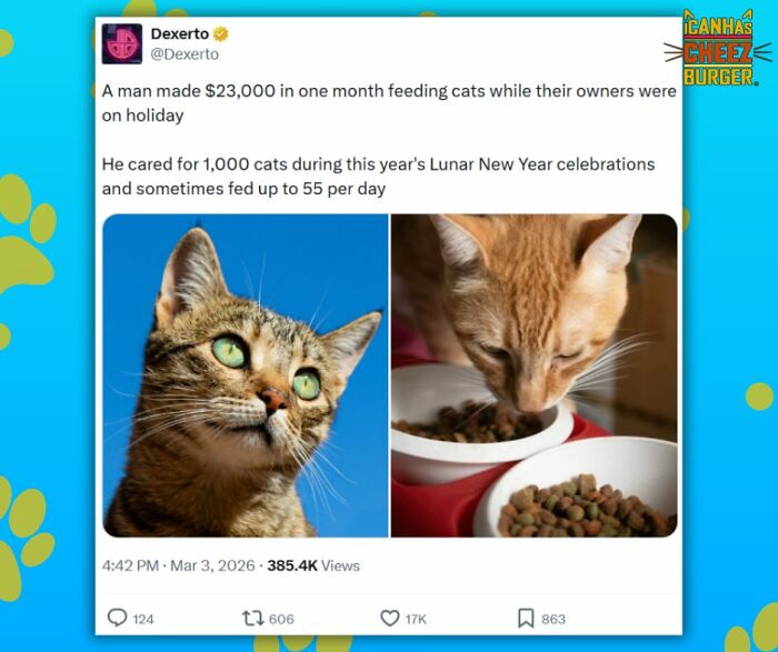 This Page Shared 52 Funny And Wholesome Cat Posts That Might Perfectly Describe Owning A Cat