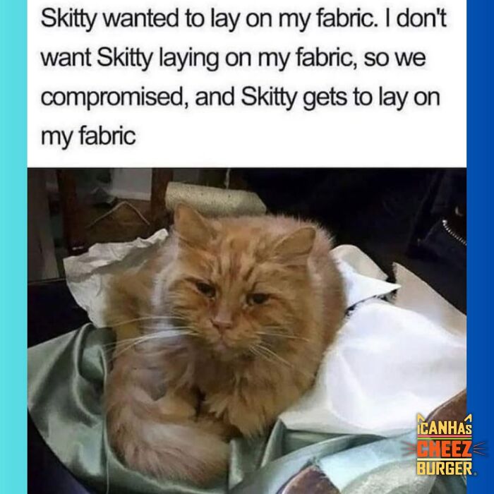 This Page Shared 52 Funny And Wholesome Cat Posts That Might Perfectly Describe Owning A Cat