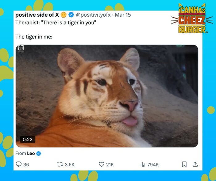 This Page Shared 52 Funny And Wholesome Cat Posts That Might Perfectly Describe Owning A Cat