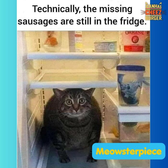 This Page Shared 52 Funny And Wholesome Cat Posts That Might Perfectly Describe Owning A Cat