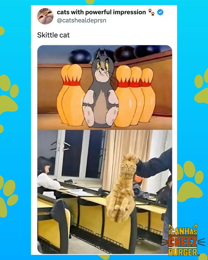 This Page Shared 52 Funny And Wholesome Cat Posts That Might Perfectly Describe Owning A Cat