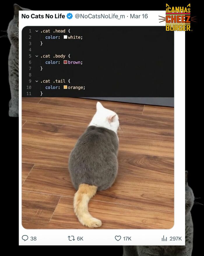 This Page Shared 52 Funny And Wholesome Cat Posts That Might Perfectly Describe Owning A Cat