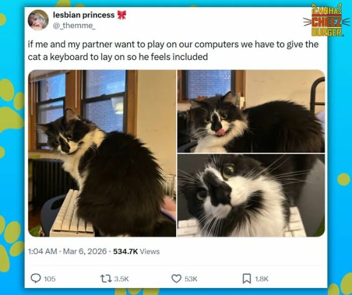 This Page Shared 52 Funny And Wholesome Cat Posts That Might Perfectly Describe Owning A Cat