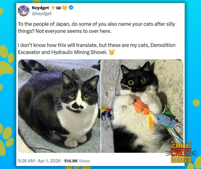 This Page Shared 52 Funny And Wholesome Cat Posts That Might Perfectly Describe Owning A Cat