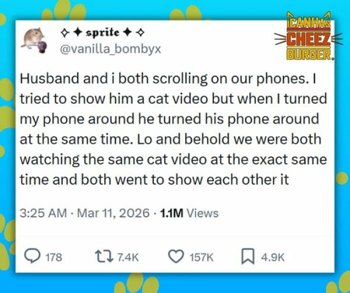 This Page Shared 52 Funny And Wholesome Cat Posts That Might Perfectly Describe Owning A Cat