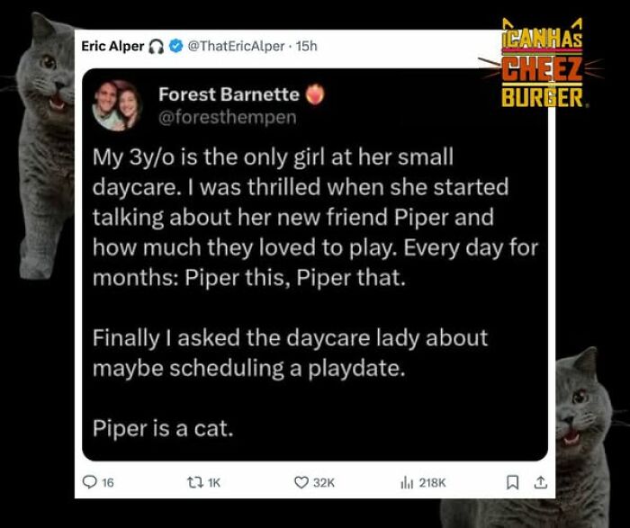 This Page Shared 52 Funny And Wholesome Cat Posts That Might Perfectly Describe Owning A Cat