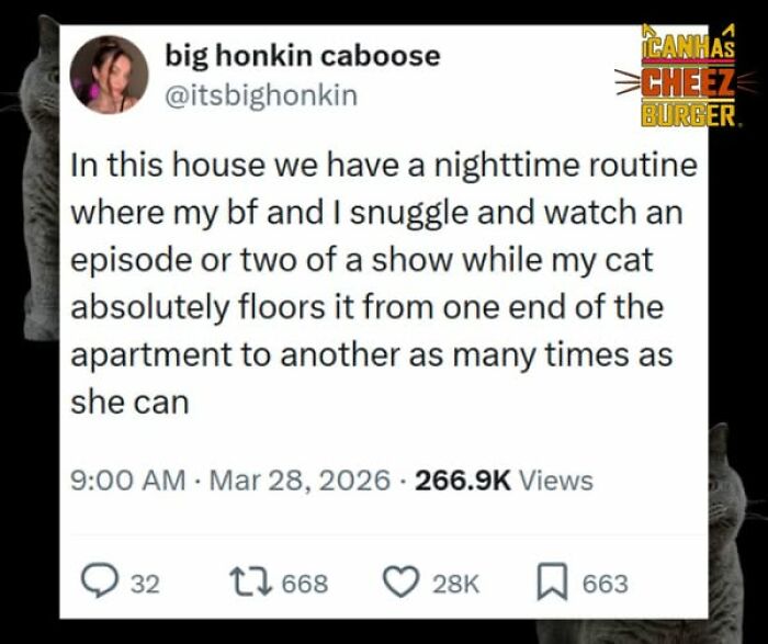 This Page Shared 52 Funny And Wholesome Cat Posts That Might Perfectly Describe Owning A Cat