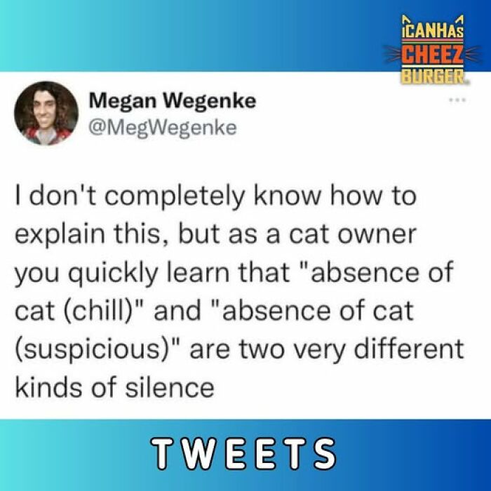 This Page Shared 52 Funny And Wholesome Cat Posts That Might Perfectly Describe Owning A Cat