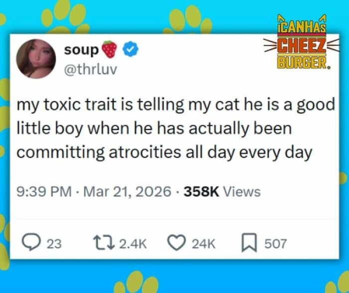 This Page Shared 52 Funny And Wholesome Cat Posts That Might Perfectly Describe Owning A Cat