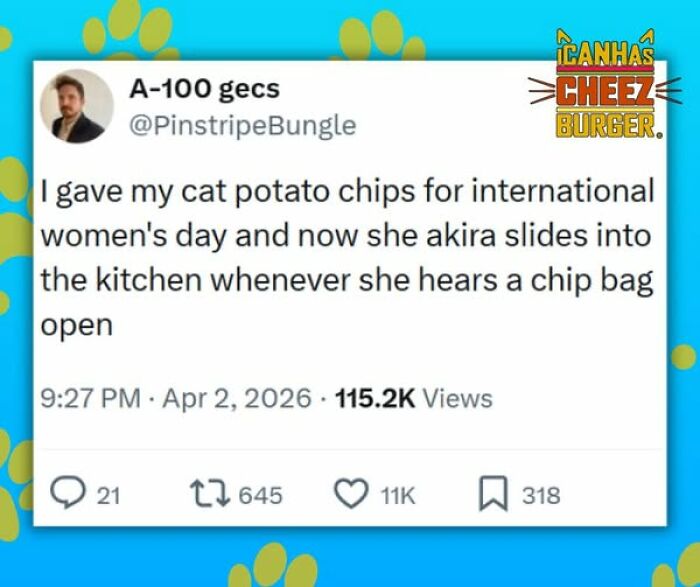 This Page Shared 52 Funny And Wholesome Cat Posts That Might Perfectly Describe Owning A Cat