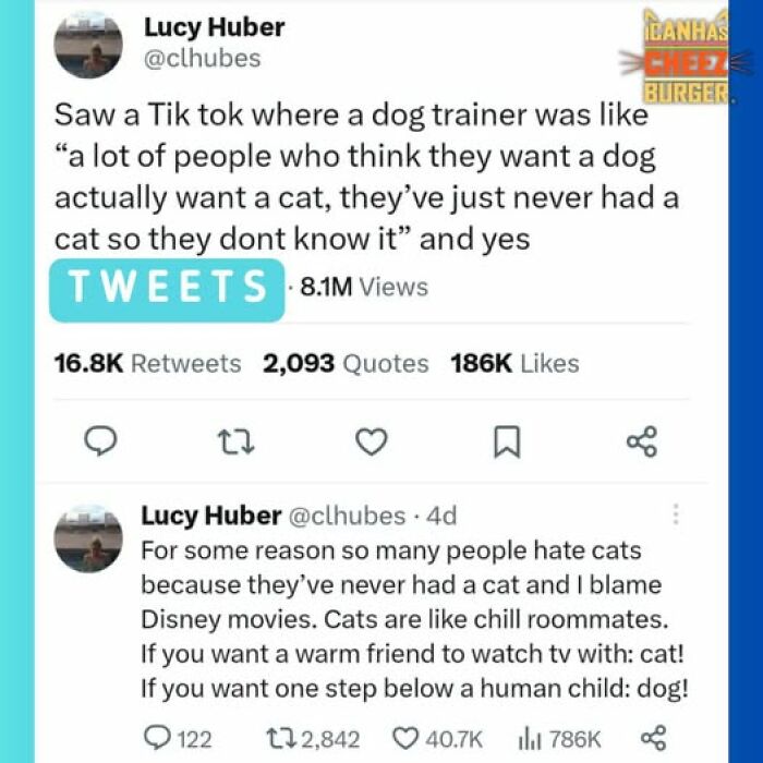 This Page Shared 52 Funny And Wholesome Cat Posts That Might Perfectly Describe Owning A Cat