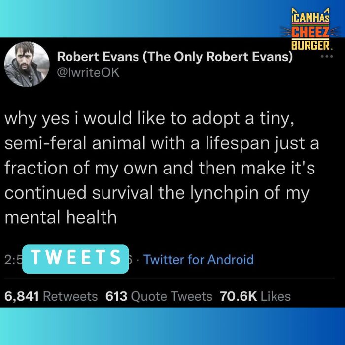 This Page Shared 52 Funny And Wholesome Cat Posts That Might Perfectly Describe Owning A Cat