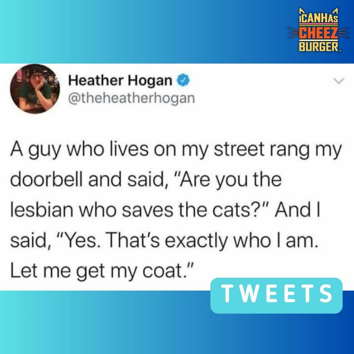 This Page Shared 52 Funny And Wholesome Cat Posts That Might Perfectly Describe Owning A Cat