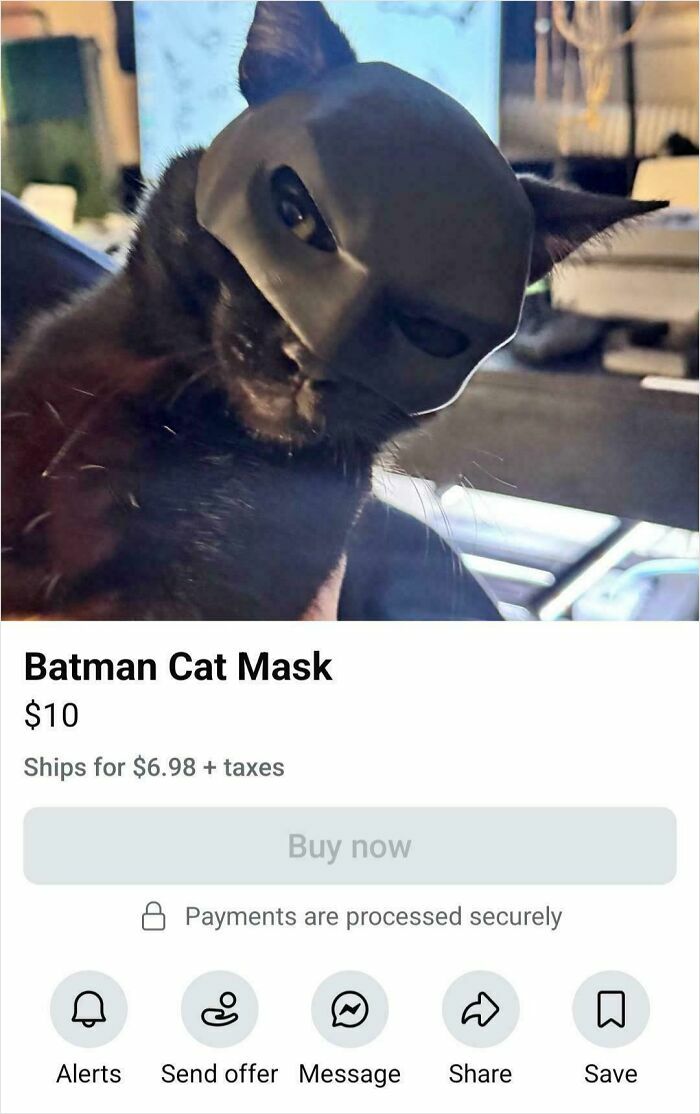 People Are Selling The Most Bizarre Things Online And Here Are 85 Listings That Are Just Wild People Are Selling The Most Bizarre Things Online And Here Are 85 Listings That Are Just Wild