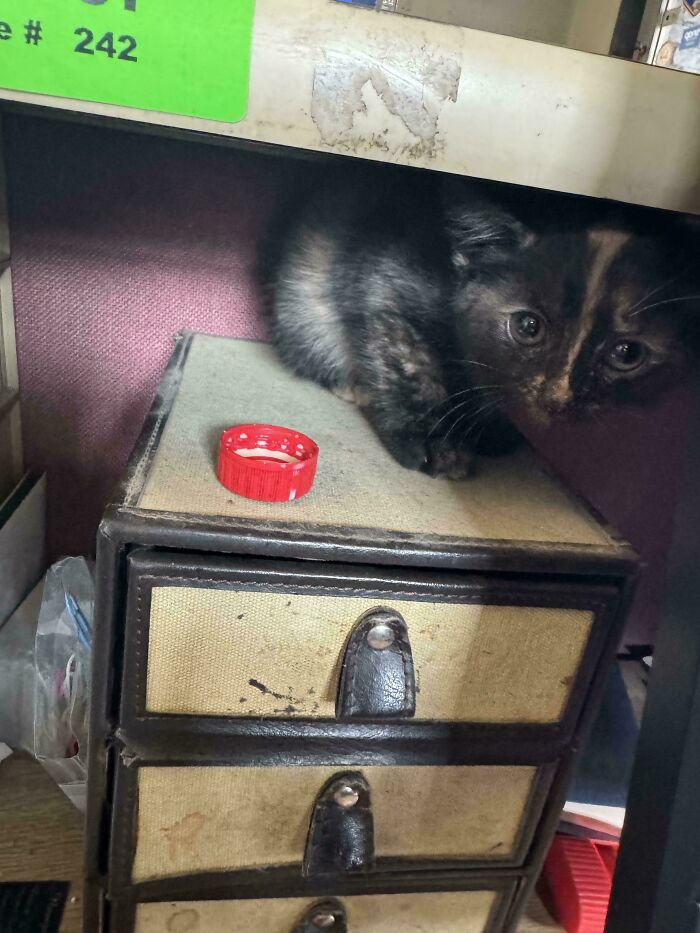 81 Times Car Mechanics Had To Take Pics Of What They Were Dealing With To Make Others Believe Them (New Pics) 81 Times Car Mechanics Had To Take Pics Of What They Were Dealing With To Make Others Believe Them (New Pics)