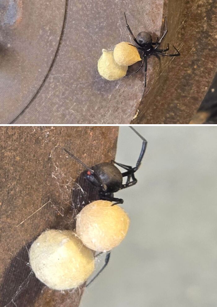 81 Times Car Mechanics Had To Take Pics Of What They Were Dealing With To Make Others Believe Them (New Pics) 81 Times Car Mechanics Had To Take Pics Of What They Were Dealing With To Make Others Believe Them (New Pics)