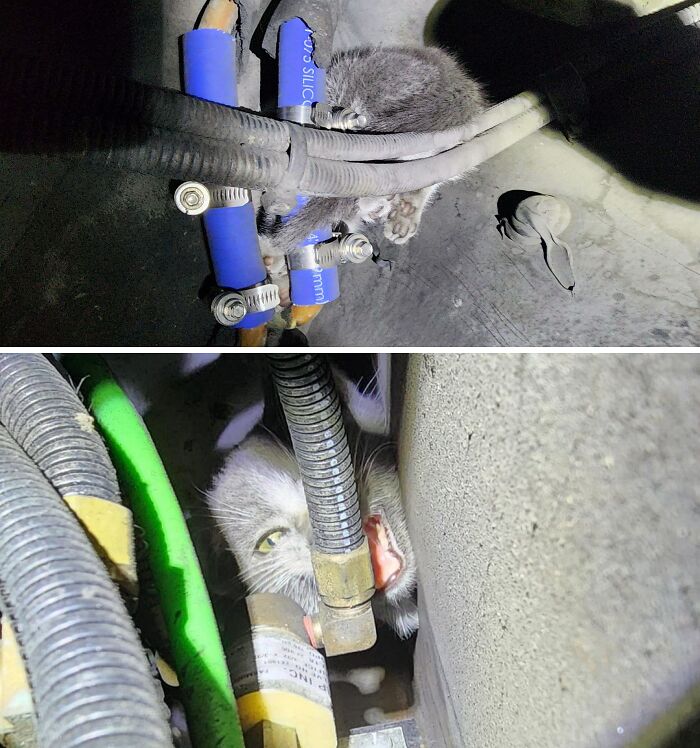 81 Times Car Mechanics Had To Take Pics Of What They Were Dealing With To Make Others Believe Them (New Pics) 81 Times Car Mechanics Had To Take Pics Of What They Were Dealing With To Make Others Believe Them (New Pics)