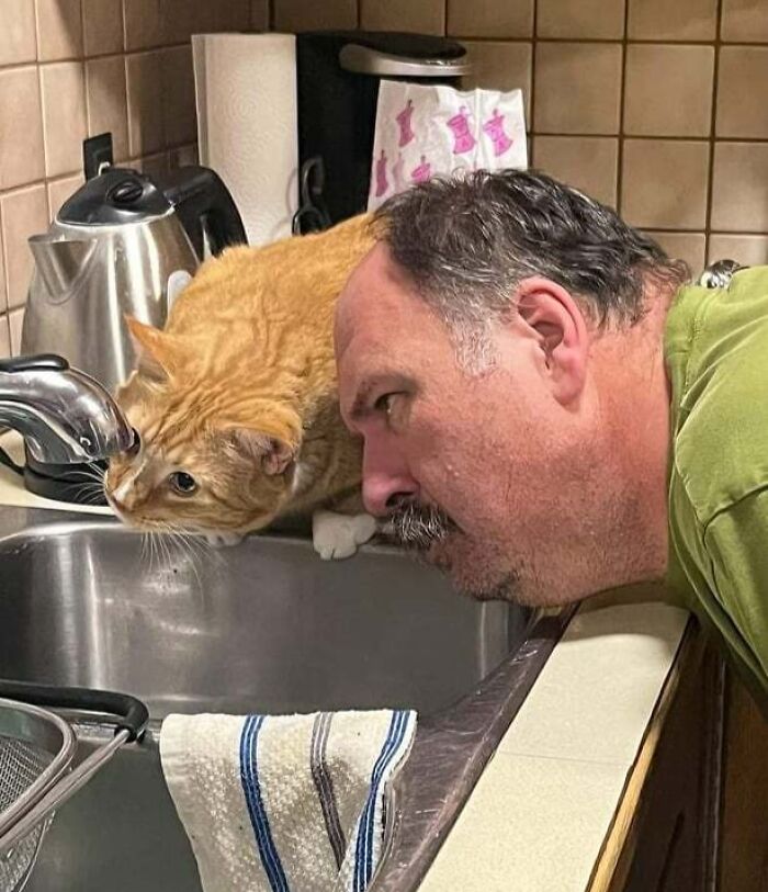 84 Wholesome And Hilarious Photos Showing What Family Life Is All About 84 Wholesome And Hilarious Photos Showing What Family Life Is All About