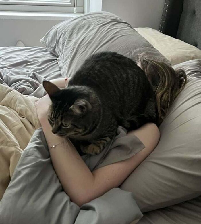 84 Wholesome And Hilarious Photos Showing What Family Life Is All About 84 Wholesome And Hilarious Photos Showing What Family Life Is All About