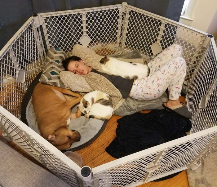 84 Wholesome And Hilarious Photos Showing What Family Life Is All About 84 Wholesome And Hilarious Photos Showing What Family Life Is All About