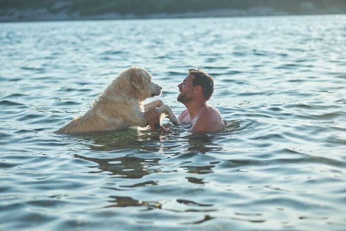 84 Wholesome And Hilarious Photos Showing What Family Life Is All About 84 Wholesome And Hilarious Photos Showing What Family Life Is All About