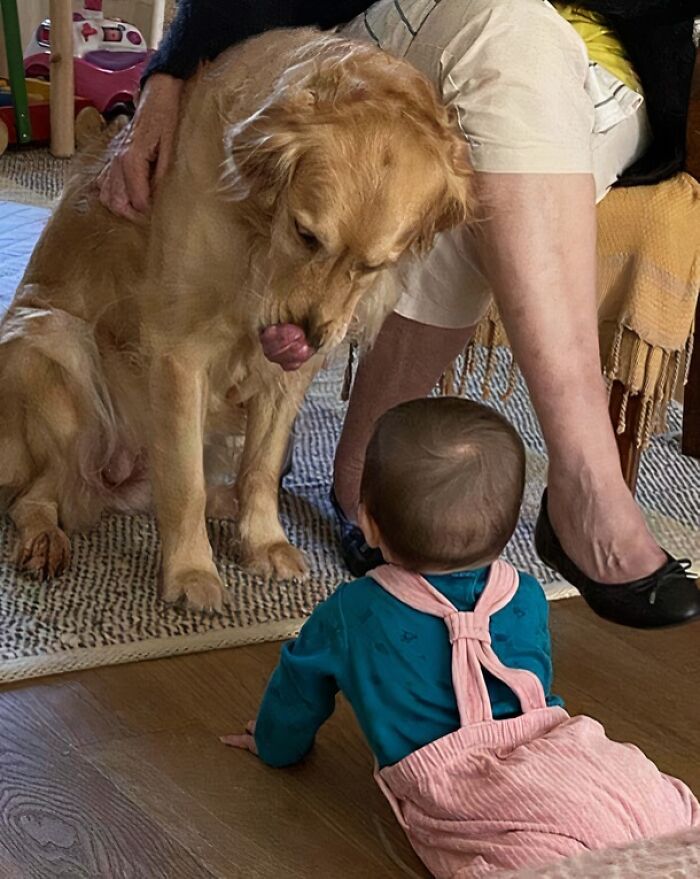 84 Wholesome And Hilarious Photos Showing What Family Life Is All About 84 Wholesome And Hilarious Photos Showing What Family Life Is All About