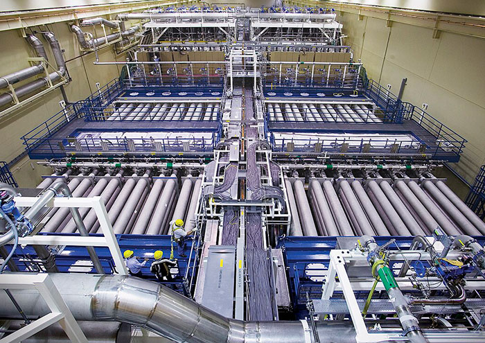 49 Scientists Share Their Biggest Theories That Are Not Yet Proven