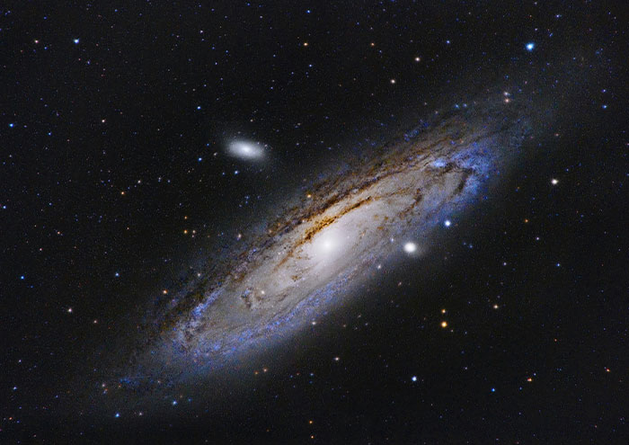 49 Scientists Share Their Biggest Theories That Are Not Yet Proven