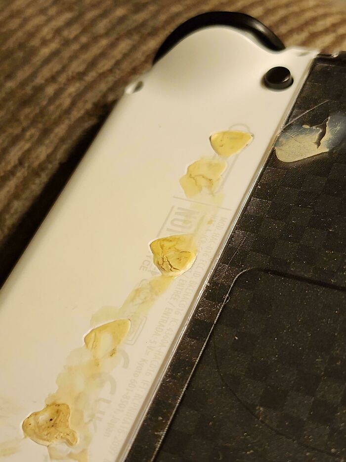 65 Times People Were So Appalled By Their Siblings, They Questioned If They Really Had The Same Parents (New Pics) 65 Times People Were So Appalled By Their Siblings, They Questioned If They Really Had The Same Parents (New Pics)